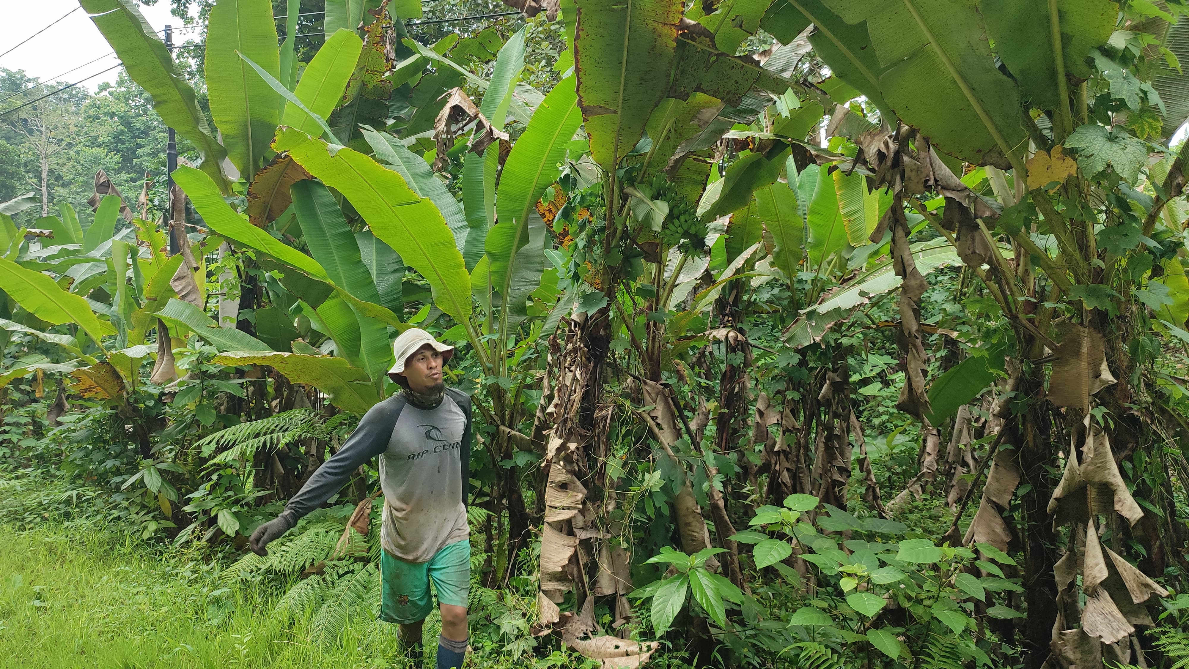 Gambar Pemberdayaan Masyarakat dan Pelestarian Lingkungan Hidup