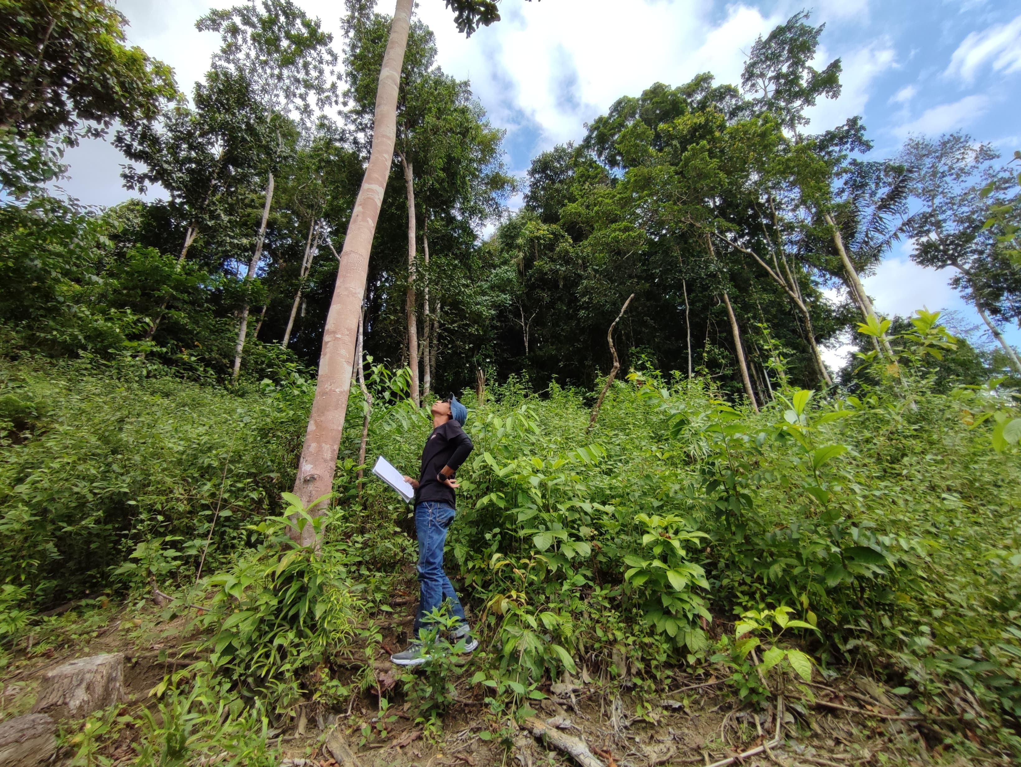 Gambar Pemberdayaan Masyarakat dan Pelestarian Lingkungan Hidup